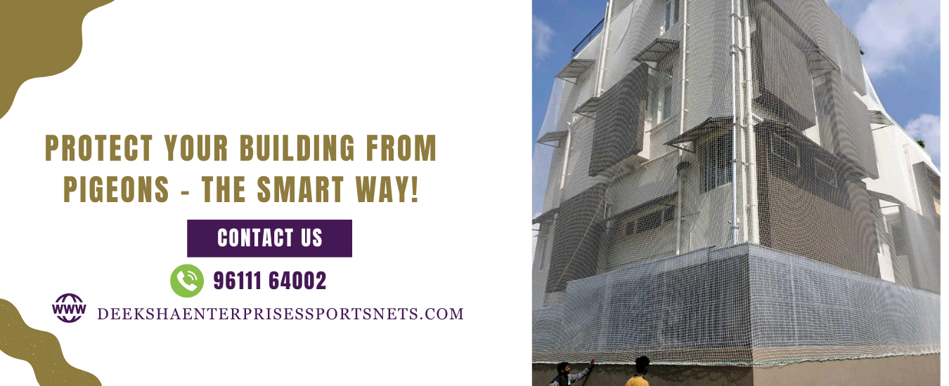 Protect Your Building from Pigeons – The Smart Way!